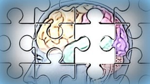 ZonMw en de Hersenstichting nemen initiatief voor opstellen nationaal hersenbrede onderzoeksagenda 
